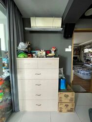Blk 260 Bishan Street 22 (Bishan), HDB 4 Rooms #566556711